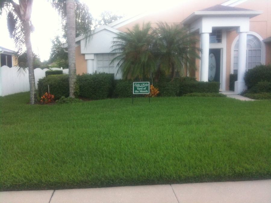 Manicured lawn with Yard of the Month sign