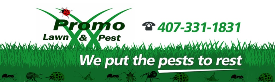 Promo Lawn & Pest — We put the pests to rest — 407-331-1831
